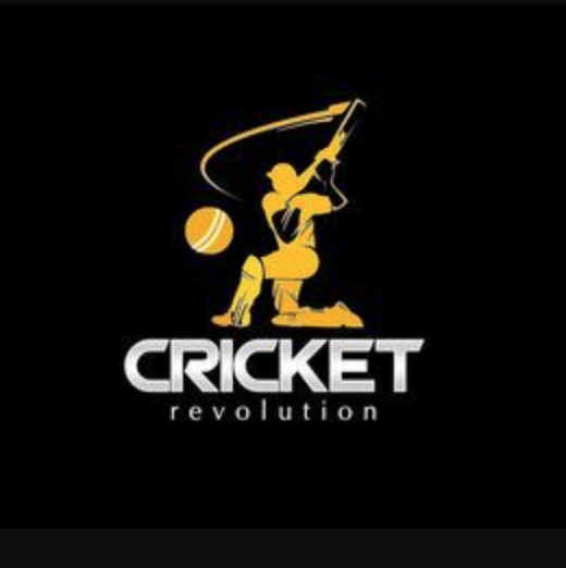 Cricket Revolution PC Game Offline Setup Download Free