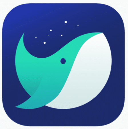 Whale Browser Offline Installer Setup For Windows Download Free